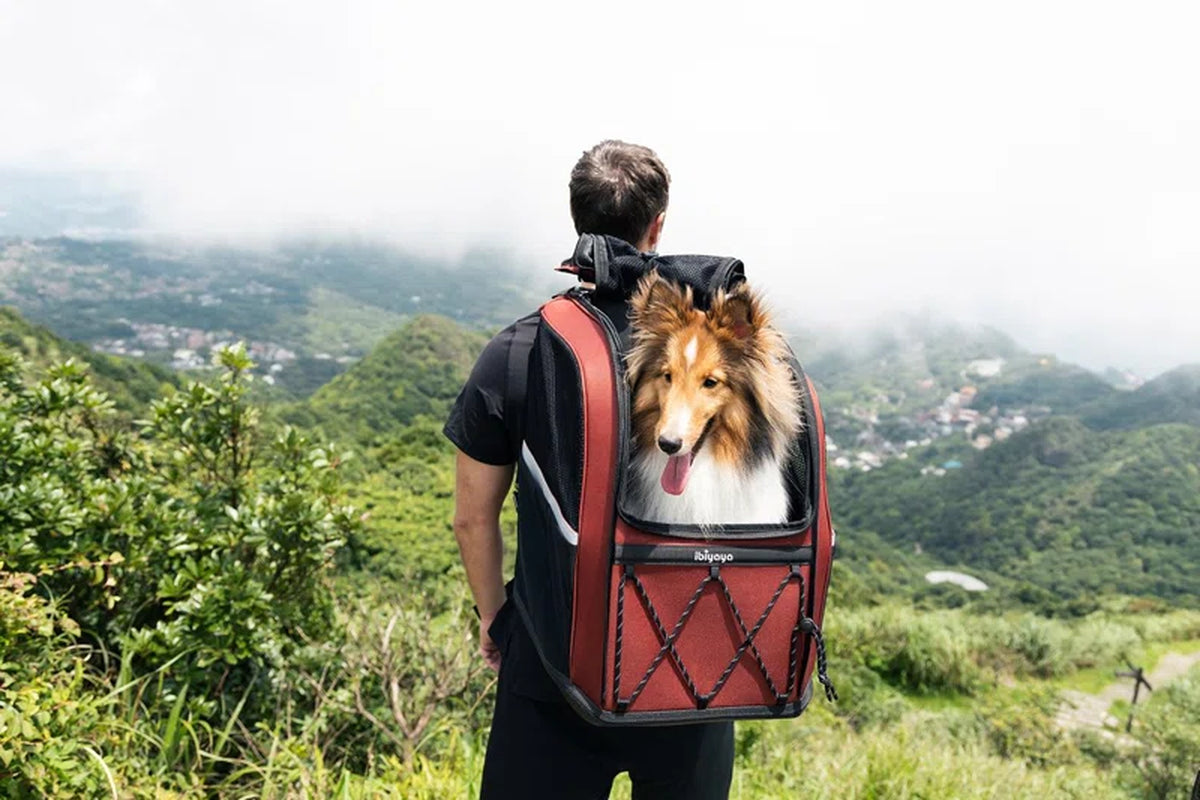 Champion Dog Carrier Backpack