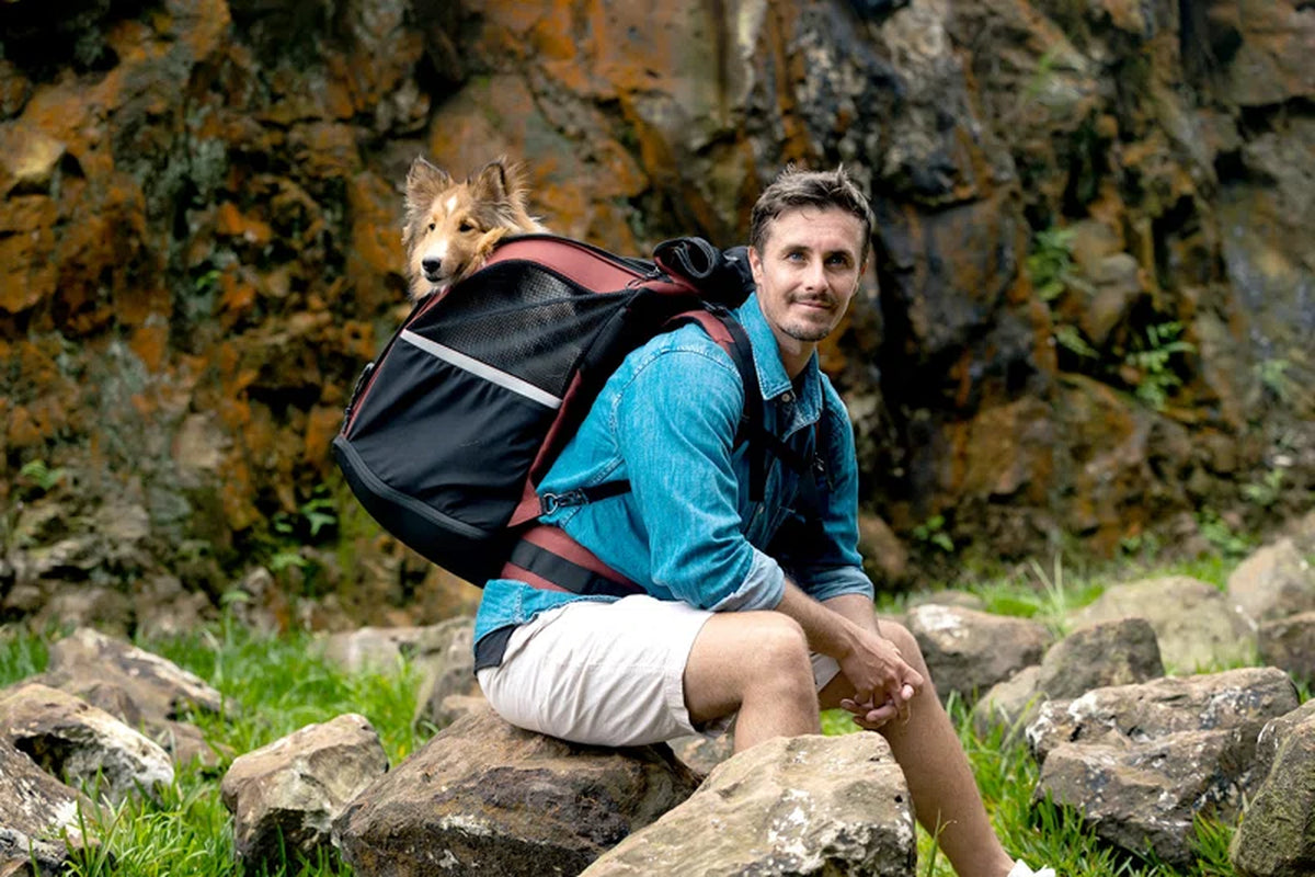 Champion Dog Carrier Backpack