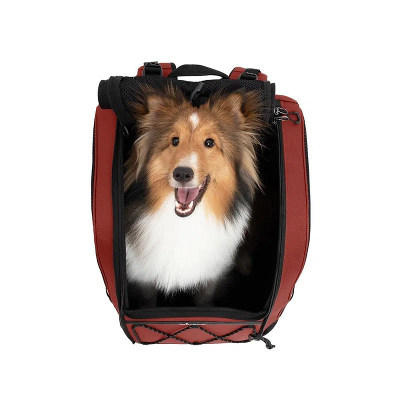 Champion Dog Carrier Backpack