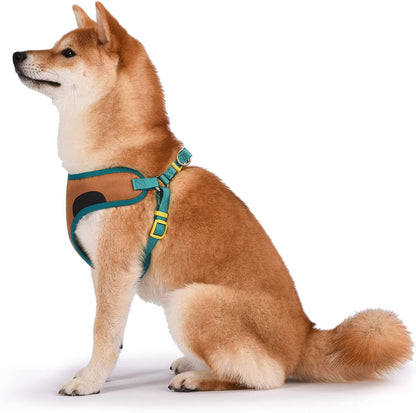 Warner Brothers Dog Harness | Soft and Comfortable Small Dog Harness Dog Harness No Pull Tan and Blue Dog Harness | Cute Dog Harnesses for Small Dogs (FF13498)