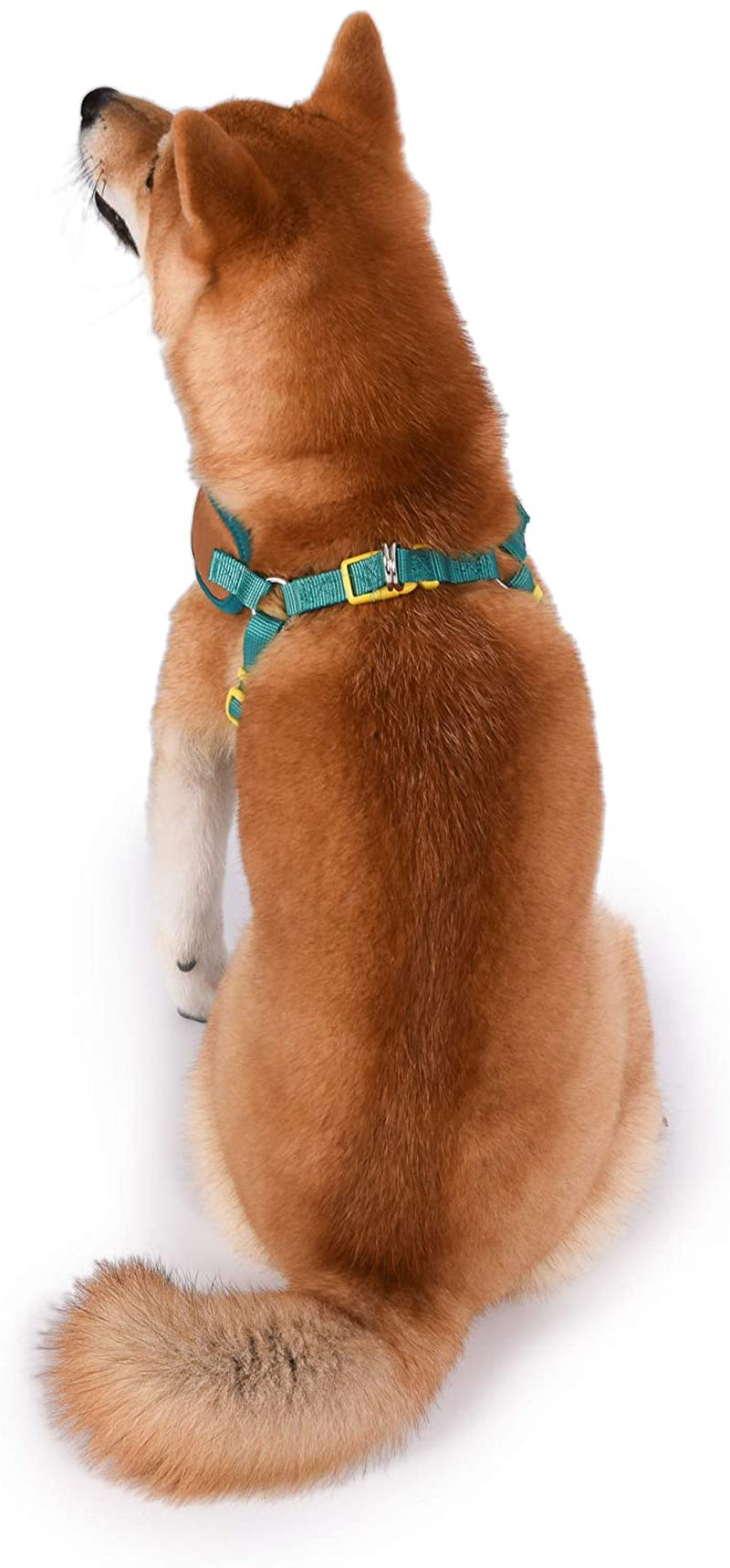 Warner Brothers Dog Harness | Soft and Comfortable Small Dog Harness Dog Harness No Pull Tan and Blue Dog Harness | Cute Dog Harnesses for Small Dogs (FF13498)